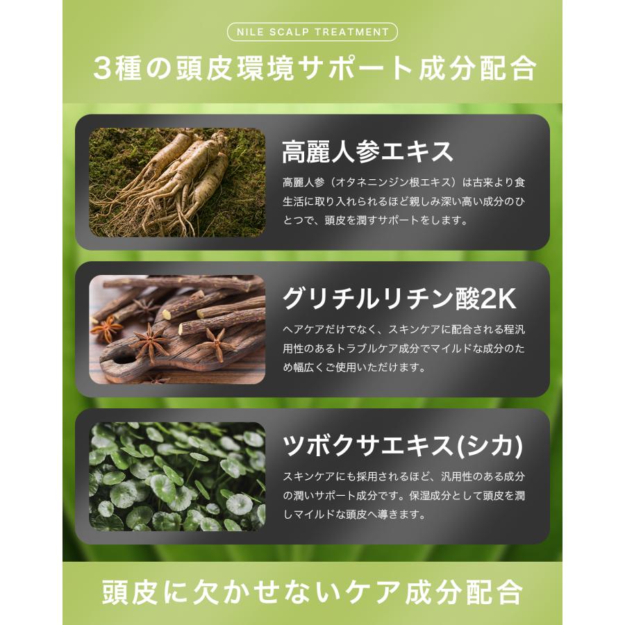 Nile シャンプー トリートメント セット 濃密泡スカルプシャンプー