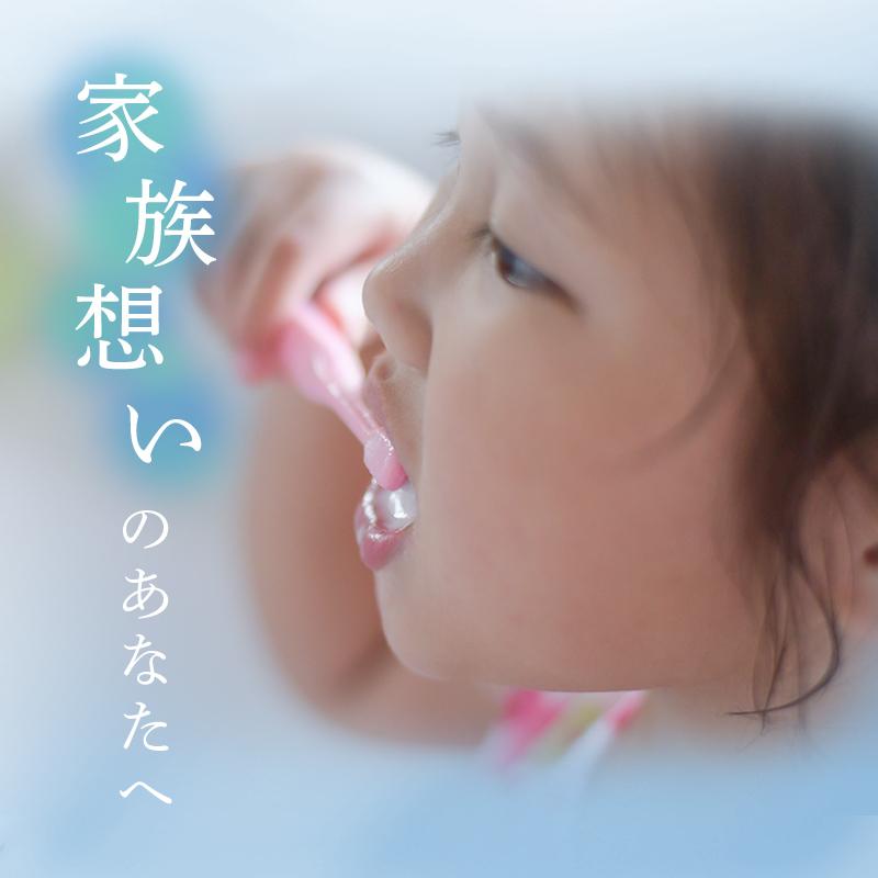 爆買クーポン】歯ブラシ 除菌器 除菌 UV-Cライト USB充電 工事不要 5本