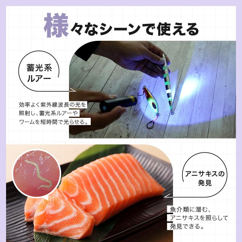 creer（ライズクリエイション） ブラックライト LED UV 紫外線 小型 
