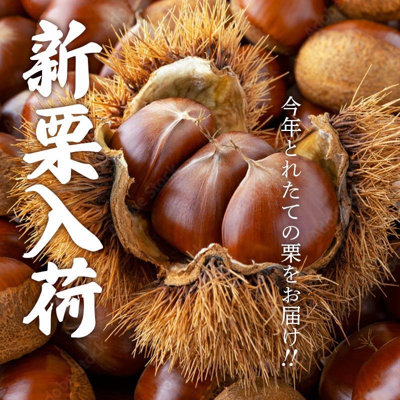 甘栗 天津甘栗 栗 くり 1200g 無添加 食べ物 スイーツ お菓子 和菓子 お試し セット 栗の専門店 樂天軒 楽天軒 贈り物 ギフト ...