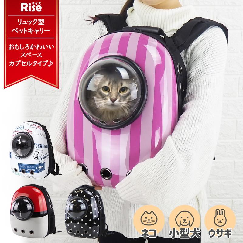 猫キャリーバッグ ペットキャリー キャリー リュック ケース ねこ ネコ ペット 980円 通院 猫用 宇宙船 最新最全の ドライブ かわいい 日本最大の 猫キャリー3