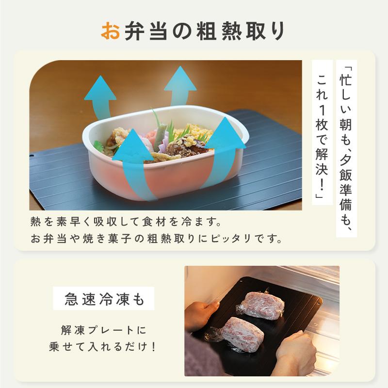 ttara 【今使えるクーポン有】解凍プレート 急速解凍 まな板 プレート