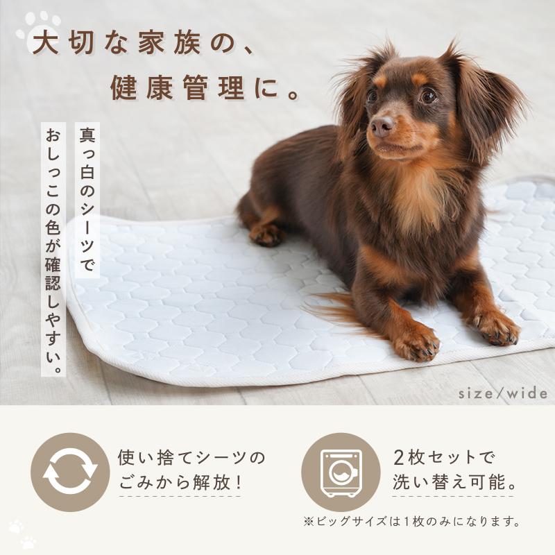 洗える 100×70cm 速乾 超吸収 ペットシーツ ビッグサイズ 吸水性抜群