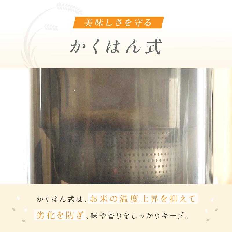 爆買クーポン】【Yahoo1位】家庭用 精米機 おしゃれ コンパクト 1〜5合