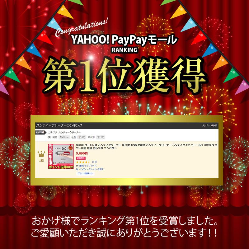 ハンディクリーナー コードレス 充電式 強力 車 Usb 掃除機 サイクロン 吸引力 軽い 安い 軽量 おしゃれ 通販ショップ ライズ 通販 Paypayモール