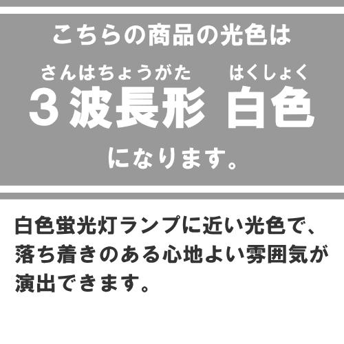 DNライティング FRT1000EW スリム管 3波長形 白色 [5本入] [1本あたり13438円][セット商品] シームレスラインランプの画像