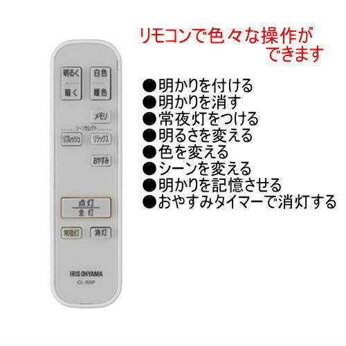 IRIS OHYAMA（アイリスオーヤマ） CEA-2112DLSP LED スピーカー