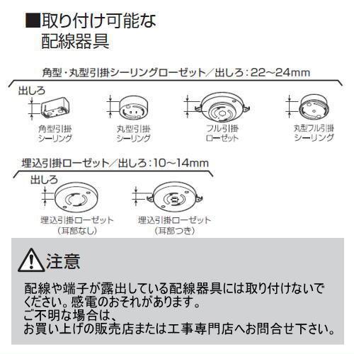 IRIS OHYAMA（アイリスオーヤマ） CEA-2112DLSP LED スピーカー