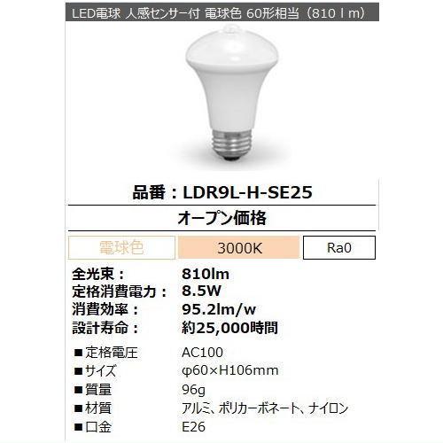 IRIS OHYAMA（アイリスオーヤマ） LDR9L-H-SE25 LED電球 レフ球形 60W