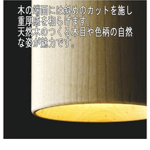 コイズミ照明 コイズミ LED一体型ペンダント AP46955L 電球色 白熱60W