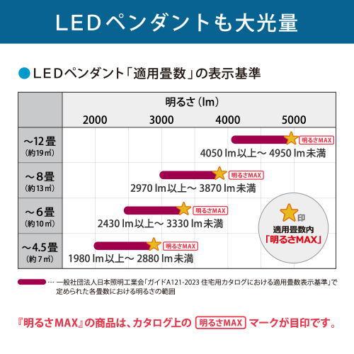 ホタルクス 照明器具 ホタルクス(旧NEC) HCDA0668-X 6畳 昼光色 LED