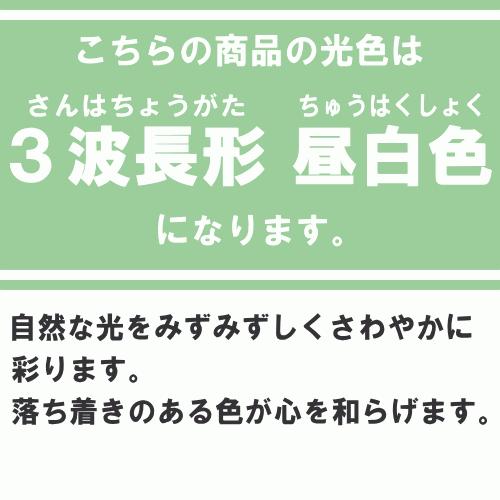 Panasonic（パナソニック） FCL20ENW/18F3 環形 蛍光灯 蛍光管 蛍光