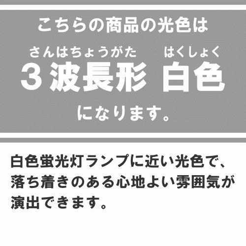 Panasonic（パナソニック） FHP45EWF3 コンパクト蛍光灯 3波長形 白色