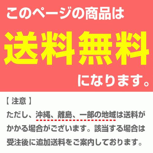 パナソニック FK835K 非常灯 交換用電池 ニッケル水素蓄電池 (FK696B、FK696K、FK696KJ の代替品)|riserun|02