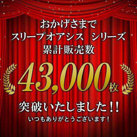 ライズTOKYO スリープオアシス クリーンマットレス 5.0 シングル ライズTOKYO スリープオアシス クリーンマットレス 5.0 シングル
