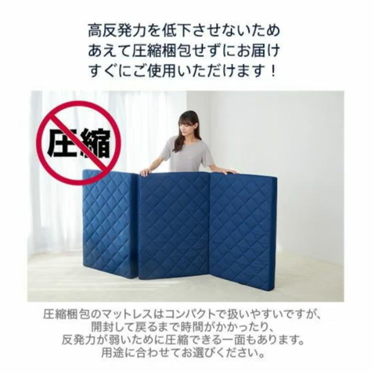 ライズ東京 全部洗える マットレス シングル スリープオアシス