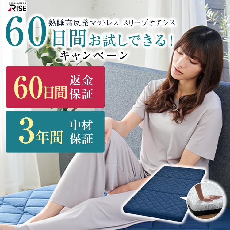 ライズ東京 【枕セット】60日間お試し ハイブリッド マットレス 9.0