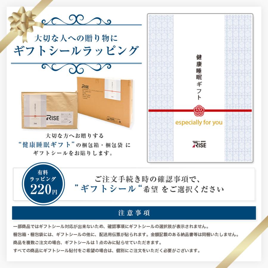 ライズ東京 腰サポートクッション V02 スリープオアシス 姿勢サポート