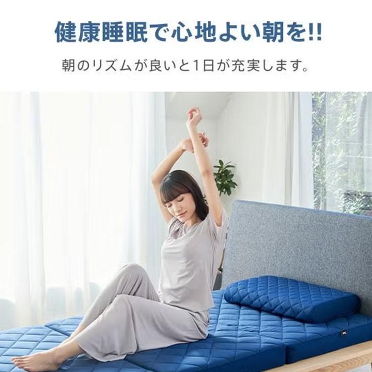 ライズ東京 30日間トライアル 洗える 高反発枕 スタンダードピロー