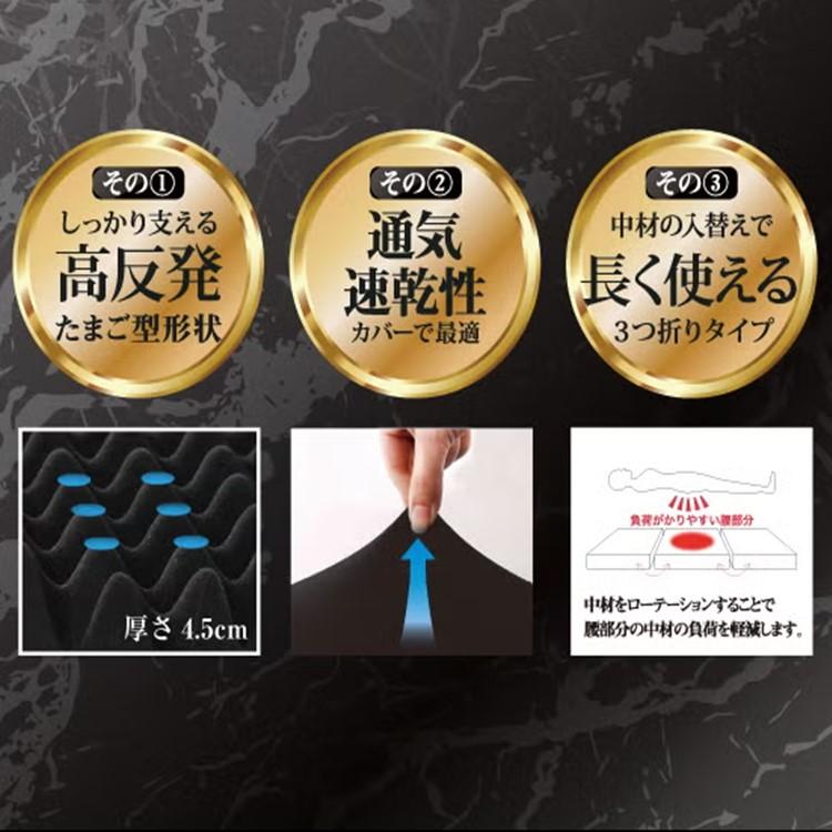 ライズ東京 超爆睡 起き楽マットレス5.0 シングル 高反発マットレス 三