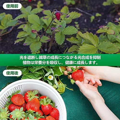 XiaZ【2022年版】防草シート 100g/m2の高耐久性不織布 雑草防止シート 高透水性 除草シート 紫外線劣化防止 厚手ぼうそうしーと 雑草対策|risewant-shop|04