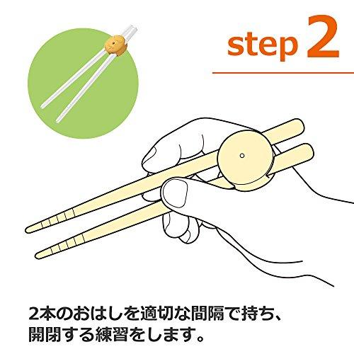 ベビーレーベル はじめてサポート おはし LU ( レーベルライム )|risewant-shop|05