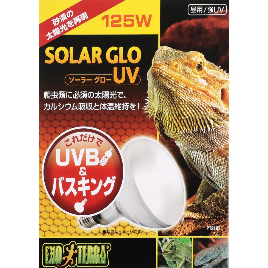 エキゾテラ GEX EXOTERRA ソーラーグローUV 125W PT2192 UVB&バスキングライト 昼用 砂漠サバンナに棲息する昼行性の爬虫｜rishop｜02