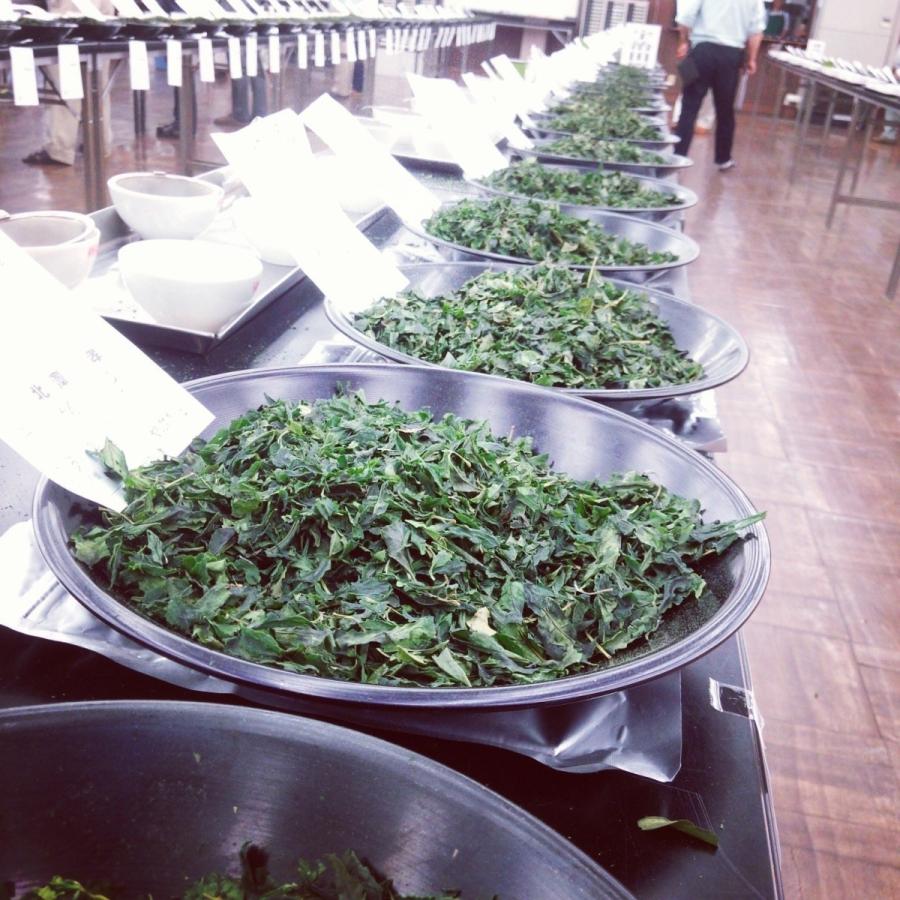 抹茶 菟道の杜 30g袋入り　お一人3本迄 |  | 02