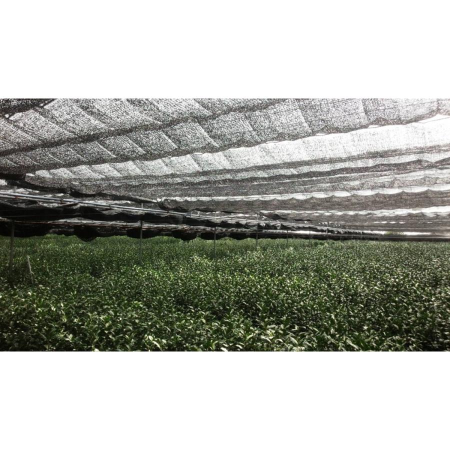 JAS有機抹茶 聖安 20g 袋入り　最高級オーガニック抹茶　京都府産手摘み原料100％ |  | 01