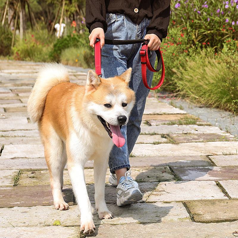 犬用リード おしゃれ フック ロング 丈夫 頑丈 ペットリード 小型犬 大型犬 用品 お散歩 アウトドア 庭用 持ちやすい 弾力性 多機能 ペットリード｜risin777｜07