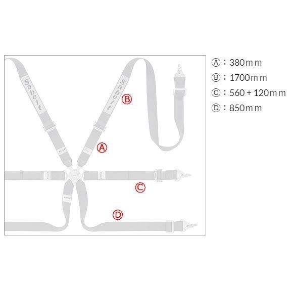 サベルト　サルーンS　622　ブルー　622　2インチ　6点式シートベルト　Sabelt　SALOON-S　レーシングハーネス