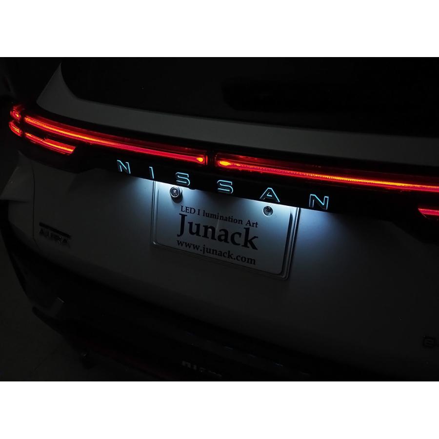 オーロラ　エンチャンテッド Dart LS Next Iron Engine Block | Borowski Race Engines