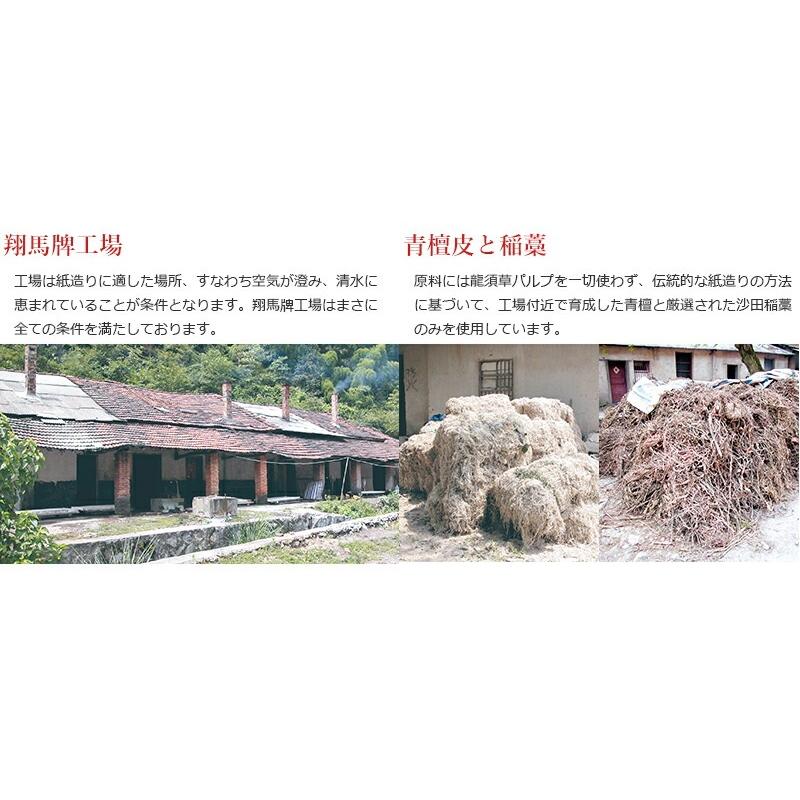 書道用紙 画仙紙 漢字用 手漉き 栗成 翔馬牌 錦 棉料単宣 半切 10枚 |  | 05