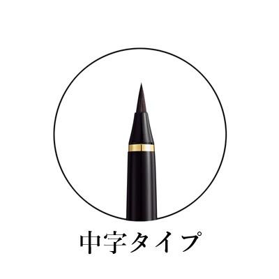 【呉竹万年筆】くれ竹 夢銀河 天然木 玉樹槐 14金ペン先 日本製 rissei_day140-47