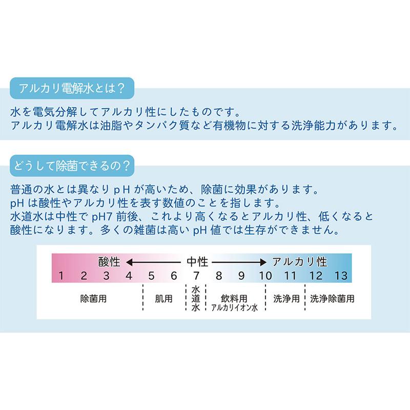 書道小物 呉竹 除菌クリーナーセット スプレー50ml リフィル180ml｜rissei｜02