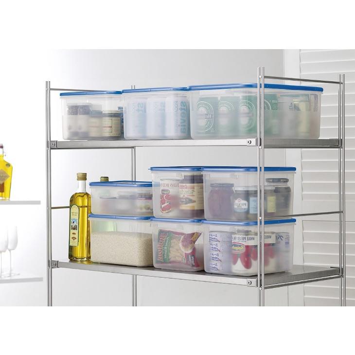 RISU（リス） 保存容器 密閉容器 抗菌加工 半透明 WJ-3 : Living雑貨