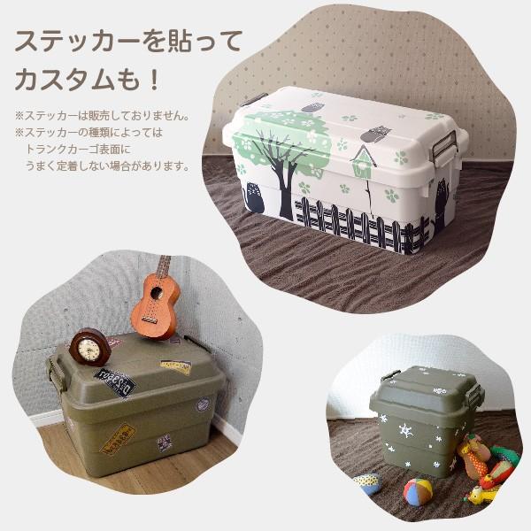 RISU（リス） トランクカーゴ 50L TC-50 コンテナボックス 収納ケース