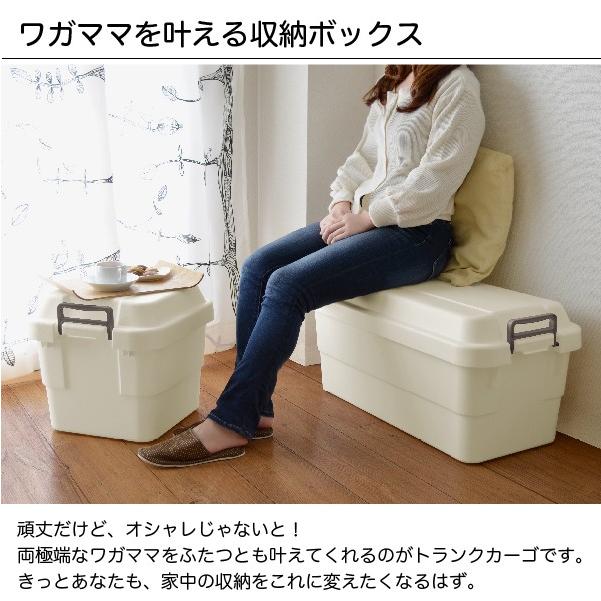 RISU（リス） トランクカーゴ 50L TC-50 コンテナボックス 収納ケース