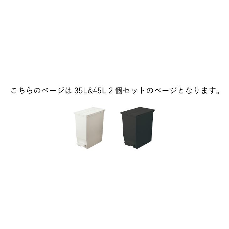 RISU（リス） ゴミ箱 35リットル×45リットル SOLOW ペダルオープン