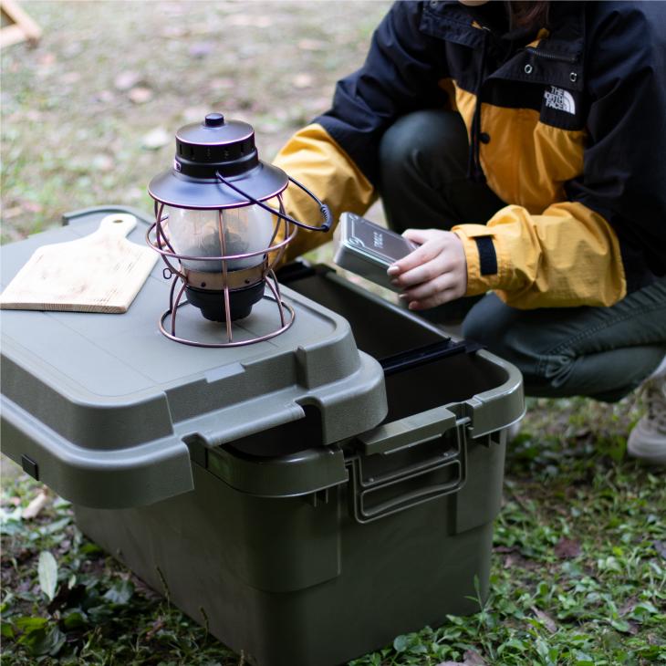 昭和レトロ　キャンディキャンディ　りんご　林檎　カセットテープケース　収納 昭和レトロ キャンディキャンディ りんご 林檎 カセットテープ