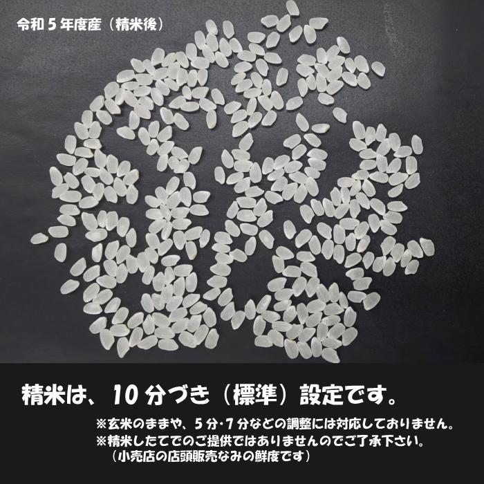 米 10kg (5kg×2袋) 新米 令和5年 兵庫県産 ひのひかり 産地直送 白米 精米 金物屋さんのヒノヒカリ お米 紙袋入り 仕送り 送料無料（一部地域を除く）｜risuke｜03