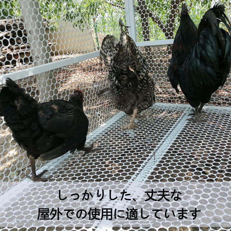 2mm厚ワイヤーチキンケージ 大型 鶏かご 鶏小屋 耐久性のある防錆 屋外で使用可能 強力な支持力、滑らかな表面｜ritabc｜05