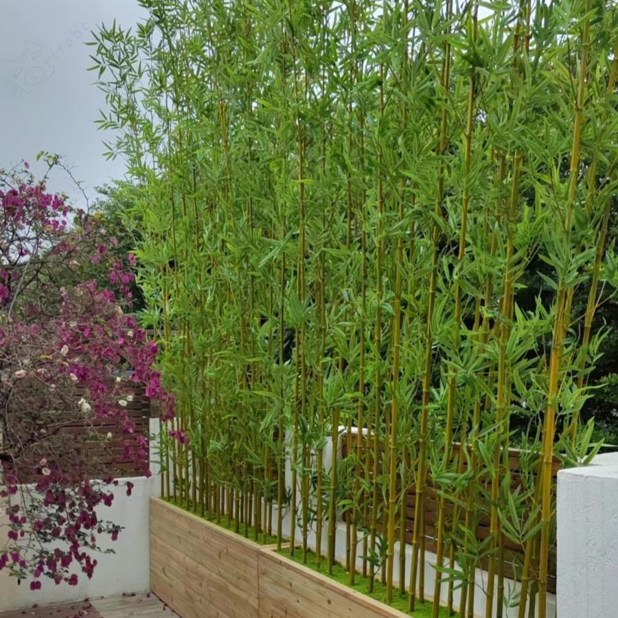 天然竹使用　竹垣　間仕切り　パーテーション Amazon｜シミュレーション竹 間仕切り 仕切り 竹垣 人工植物