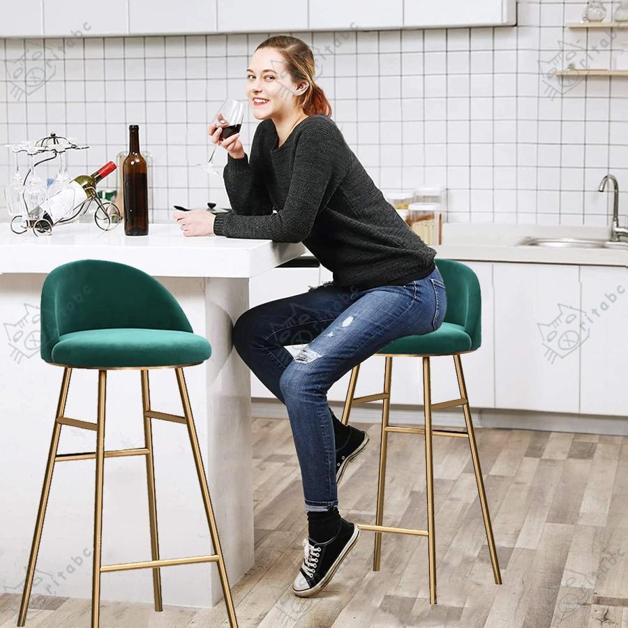 バースツールチェア2脚セット、背もたれ付き北欧バースツール2脚セット  