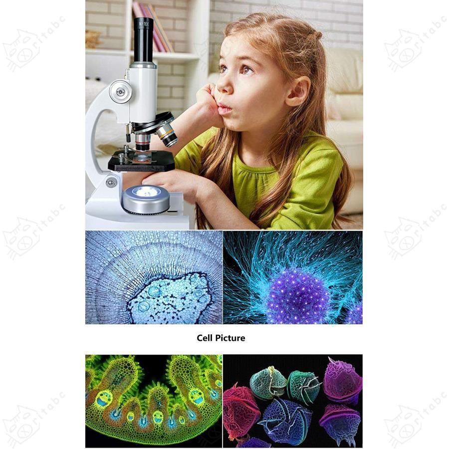 ハイパワー光学顕微鏡、メタルフレーム顕微鏡 科学実験教育装置 ハイパワー光学顕微鏡、メタルフレーム顕微鏡 科学実験教育装置