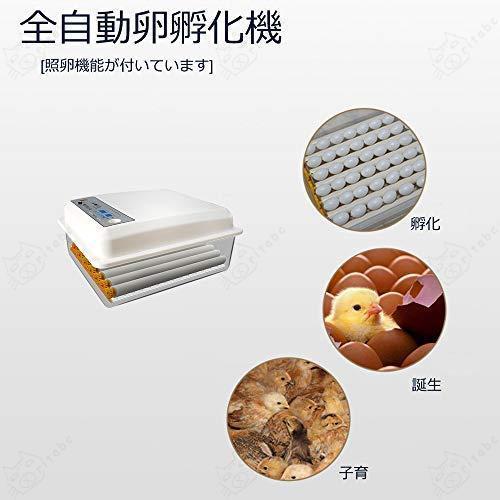 全自動孵卵器、インキュベーター、最大24個入卵、自動温度制御 簡単