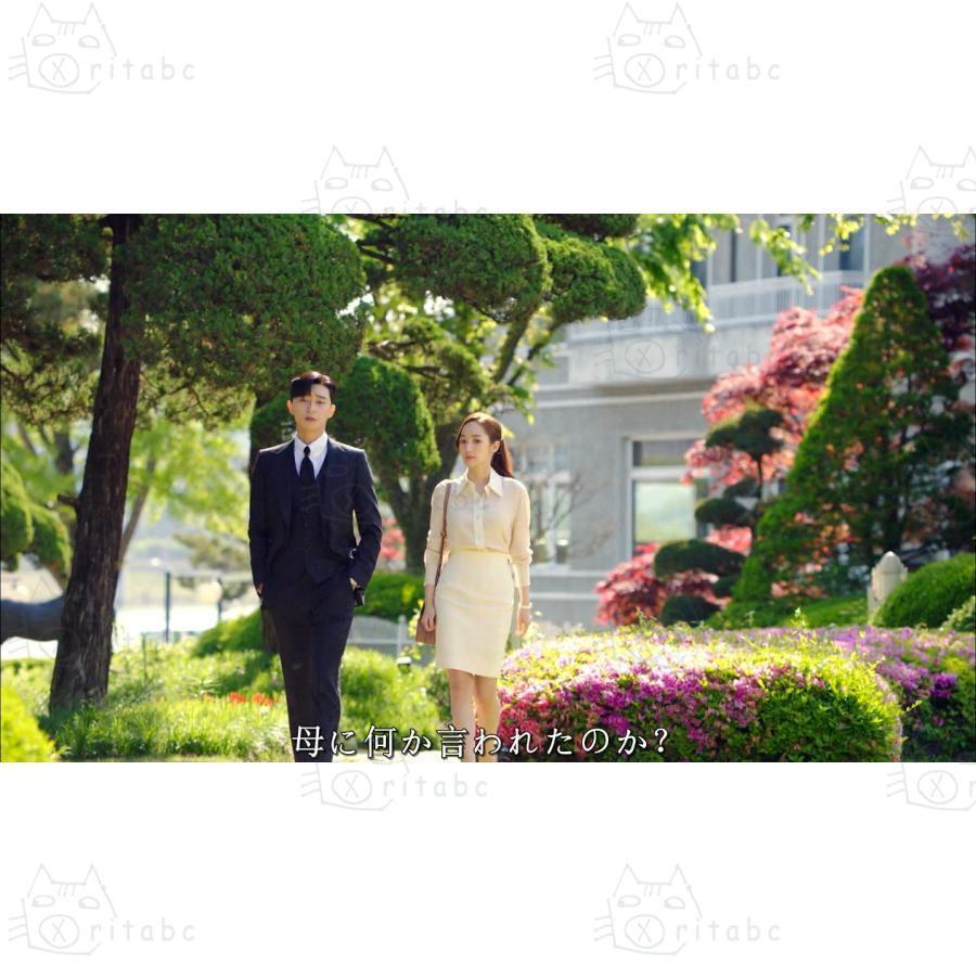 韓国ドラマ DVD BOX 「キム秘書はなぜそうか」 日本語字幕 韓国