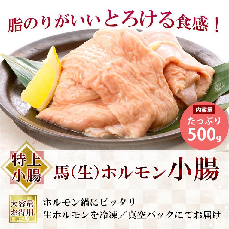 即日発送 馬刺し 母の日 22 プレゼント 熊本 国産 特上 ホルモン 小腸 約500g 馬肉 ギフト 食べ物 おつまみ 熊本馬刺し専門店 Wantannas Go Id