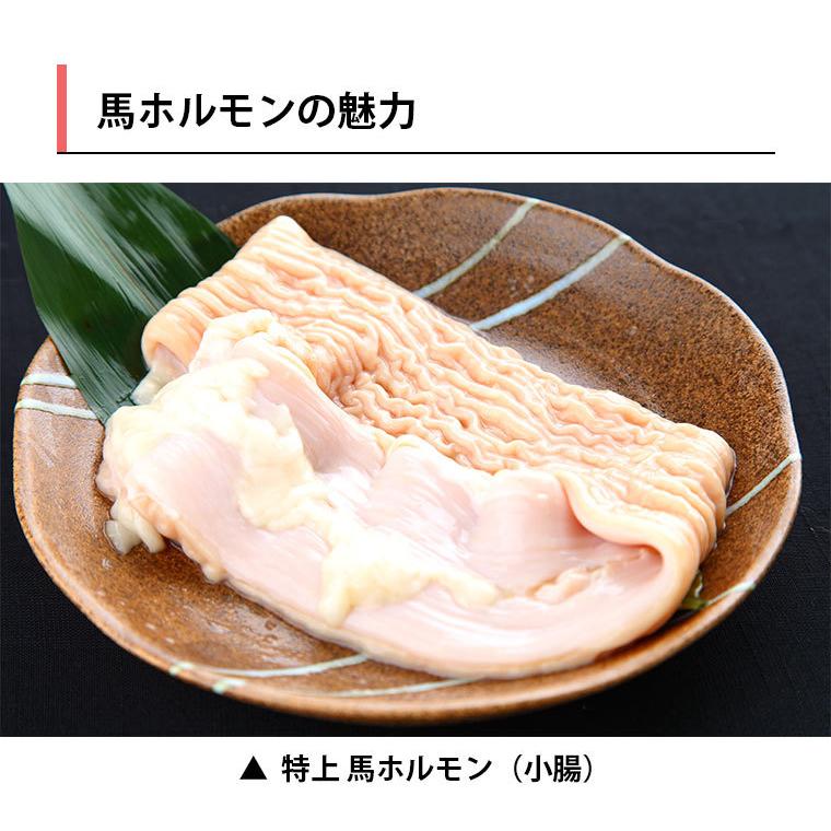 即日発送 馬刺し 母の日 22 プレゼント 熊本 国産 特上 ホルモン 小腸 約500g 馬肉 ギフト 食べ物 おつまみ 熊本馬刺し専門店 Wantannas Go Id