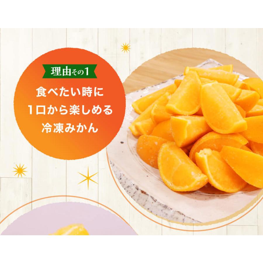 みかん 熊本みかん 冷凍みかん 500g 冷凍 カット つまみかん おやつ フルーツ 冷凍ミカン 皮つき お酒 おつまみ 8101 熊本の馬刺し専門店 利他フーズ 通販 Yahoo ショッピング